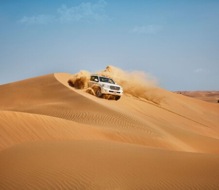 Desert Safari